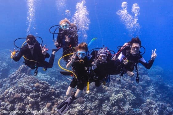 PADI Open Water - Marsa Alam - Image 4