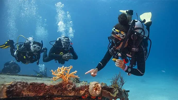 PADI Open Water - Image 4
