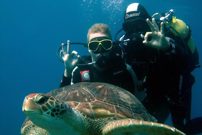 Daily Dive - Marsa Alam