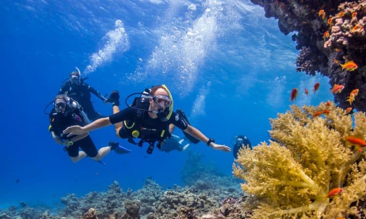 PADI Advanced Open Water - Marsa Alam - Image 2