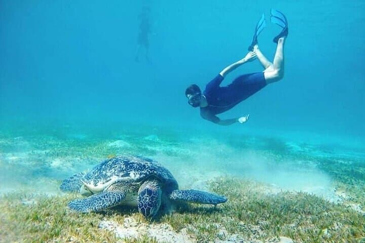 Private Activity - Marsa Alam