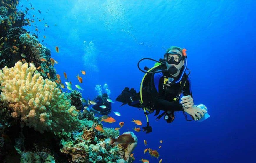 PADI Advanced Open Water - Marsa Alam - Image 3
